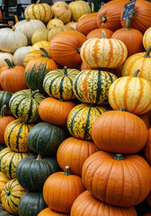 Tiered Display of Pumpkins and Gourds in Varied Colors and Textures – Seasonal Autumn Arrangement