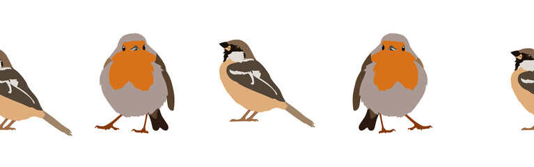 Bird con border. Bird feather silhouette symbol. Bird border isolated on a white background