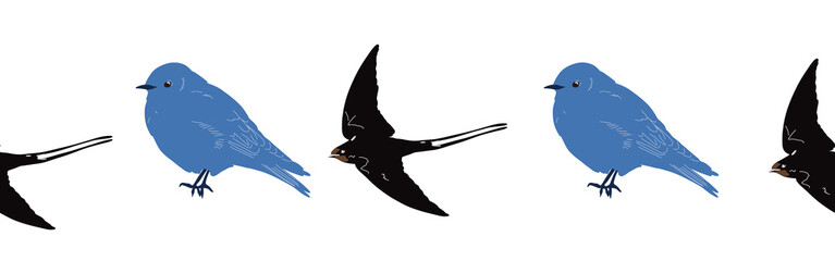 Bird con border. Bird feather silhouette symbol. Bird border isolated on a white background
