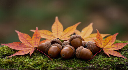 Autumn Acorns and Vibrant Leaves Resting on Moss – Seasonal Forest Ground Texture