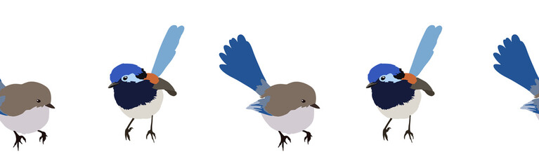 Bird con border. Bird feather silhouette symbol. Bird border isolated on a white background