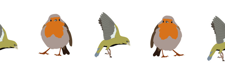 Bird con border. Bird feather silhouette symbol. Bird border isolated on a white background