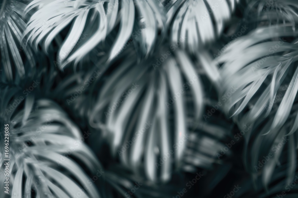 Poster blurred abstract pattern of foliage background