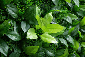 immerse yourself in lush essence of bali with captivating green wall pattern of tropical leaves