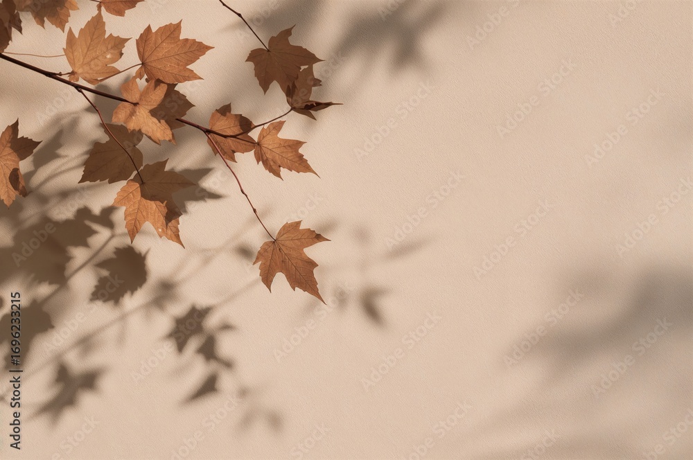 Poster shadow of maple leaves cast on a wall surface. layered visual with modern flat layout featuring fash