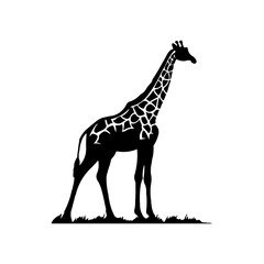A large wild giraffe symbol in the center. Isolated black symbol. Illustration on transparent background