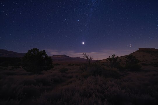 A celestial night filled with stars shining over desert shrubs and mixed conifer woodland in a rugged canyon setting. - Powered by Adobe