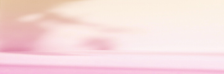 Abstract pink color gradient studio background for product presentation. Empty room with shadows of flowers and plant leaves. 3d orange room with copy space. Banner. Blurred backdrop