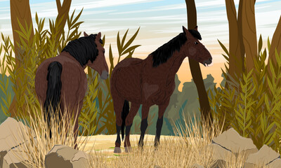 Two brown horses walking along a sandy forest road. Realistic vector landscape