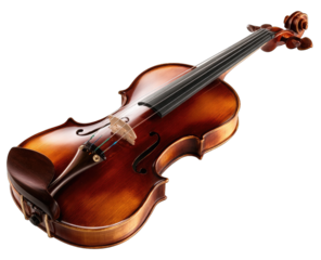 Wooden violin, rich brown hue