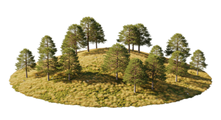 Island of Pines – Where Shadows Stretch and Seasons Whisper