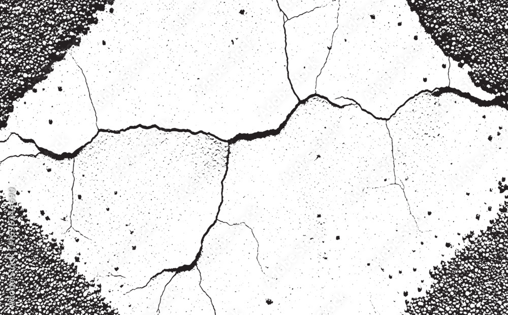 Poster black and white abstract background showing cellular pattern with a crack element detail
