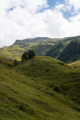 Grassy hill