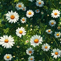 Obraz premium Close up view of a field of white daisies with green foliage