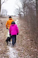 Venturing through serene winter trails with my beloved dog on a brisk and chilly day amidst the...