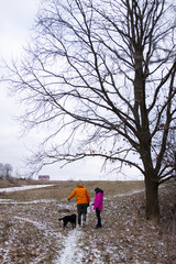 Walking through a winter landscape with a playful dog, enjoying the serene beauty of nature on a...