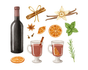 Mulled wine watercolour set. Hand-drawn watercolor illustartion