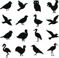 Fototapeta premium A collection of black vector silhouettes of different kinds of flying birds 