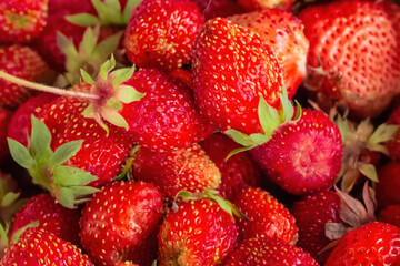 lots of strawberries close up as background