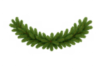 Christmas garland of fir branches forming an arch on transparent background