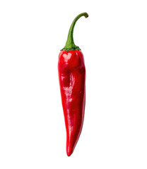 a single red chili pepper on a white background, top view