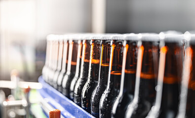 Banner Beer brewery conveyor. Brown glass alcohol bottles move on production line, modern equipment industrial drink with copy space