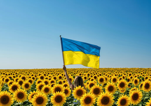 A Ukrainian flag held by a person standing in a vast field of sunflowers under a bright blue sky