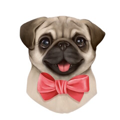 Hand-drawn illustration of an adorable pug with big eyes and a pink bow tie