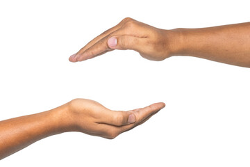 male hand holding something isolated on white background. use for placing a product. transparent png