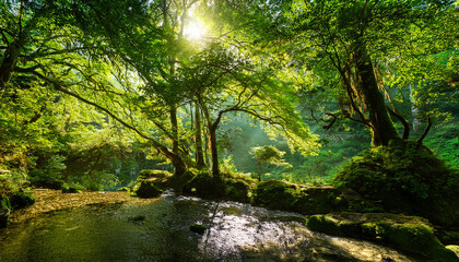 Obraz premium Lush Green Trees With Vibrant Foliage In A Peaceful Natural Setting