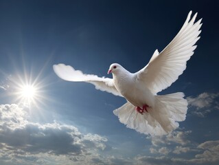A pure white dove gracefully soars against a backdrop of bright sunlight peeking through billowing clouds in a vibrant blue sky