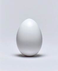Single white egg stands against a soft gray backdrop, casting a delicate shadow. Still life photography