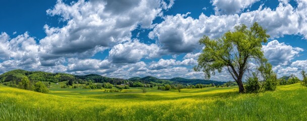 Expansive yellow field meets rolling green hills under a vibrant blue sky dotted with fluffy white clouds, highlighting a tree on the right side