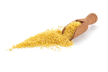 Millet, ancient African grain, in a scoop on a white background. Healthy vegan side dish