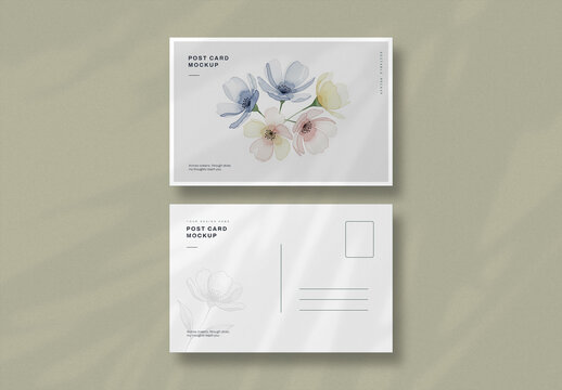 Minimalist Post Card Mockup Template