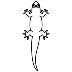 lizard cartoon illustration outline 
