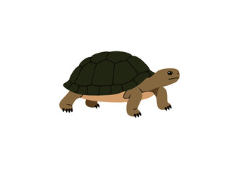 icon of a turtle walking slowly