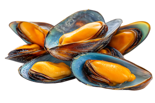 Close up of fresh, cooked mussels, ready to eat.