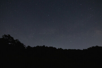 Fototapeta premium Countless Stars and the Silhouette of a Forest at Night
