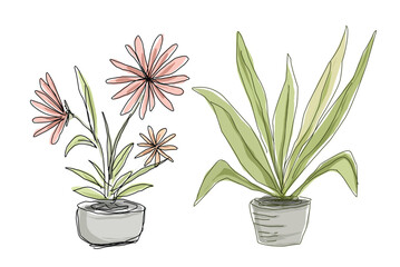 two green fresh flower plants illustration on the pot .eps