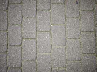 Gray stone pavement with square tiles and green moss between
