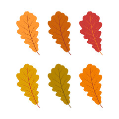 Oak leaves set. Color vector illustration. Isolated on white background.	