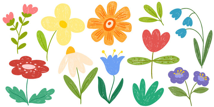 Colorful crayon flowers and plants collection. Naive style kid's drawing. Pencil ink drawing flowers and leaves in naive style, childish or primitive drawing. Kids doodle vector illustrations 