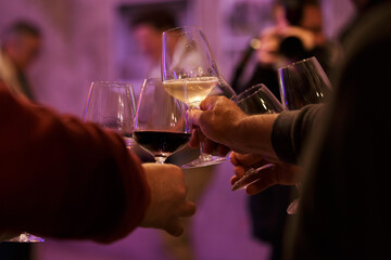 Group of friends toasting with wine glasses