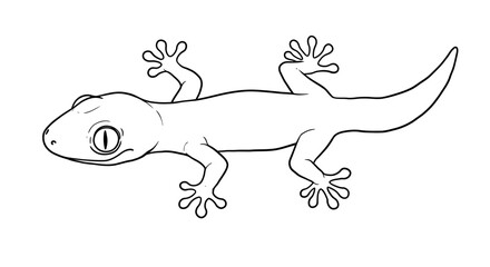 Obraz premium Detailed line art illustration of a gecko, perfect for coloring books and educational resources
