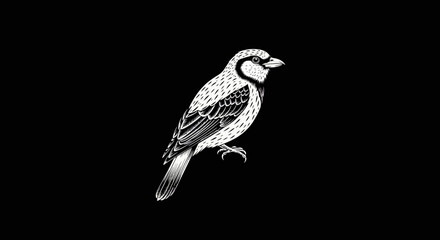 Obraz premium Detailed vector illustration of a bird against a minimalist black background