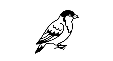 Obraz premium Elegant monochrome outline drawing of a songbird perched on a surface, isolated