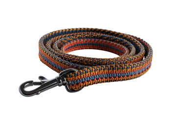 Braided Pet Leash Dog Accessory Close up Vibrant Colors Metal Clasp Detail Durable Stylish Modern