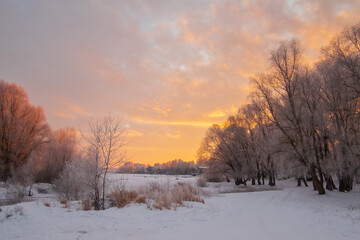 sunrise in winter