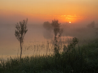sunrise in the morning fog